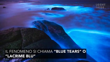 Lo strano fenomeno delle "Blue tears", splendido quanto pericoloso