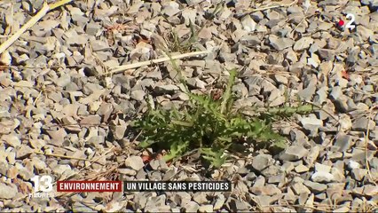 Hérault : un village sans pesticides