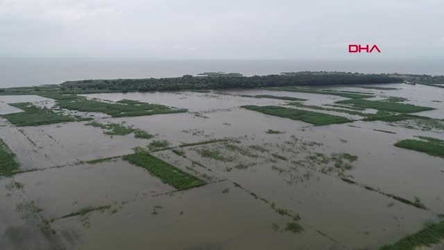 BURSA BİNLERCE DÖNÜM TARIM ARAZİSİ SULAR ALTINDA KALDI, MAHSULLER TELEF OLDU