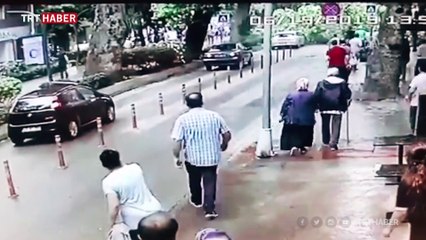 Ağaç otomobilin üzerine devrildi