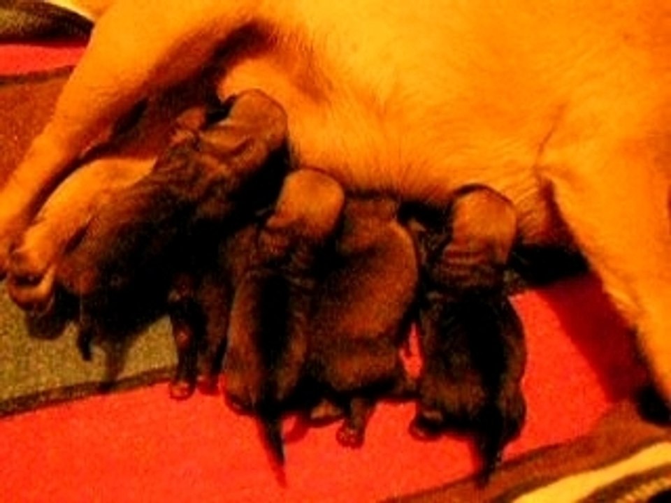 BB Katie le 20.01