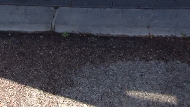 Detenidos tres jóvenes por asesinar a otro chico en San Sebastián de los Reyes