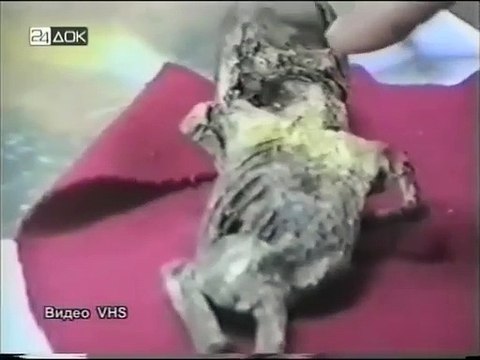 Câu chuyện về đứa trẻ bị nghi ngờ là sinh vật ngoài hành tinh