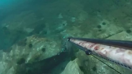 Sorprendente hallazgo en la Costa Brava