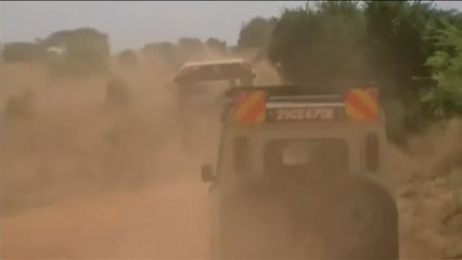 Melania Trump, de safari en Kenia