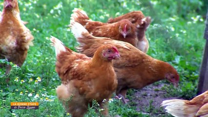 La Bonne  Etape - La Chauvelière