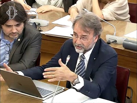 Roma - Audizioni su tutela della salute mentale (19.06.19)