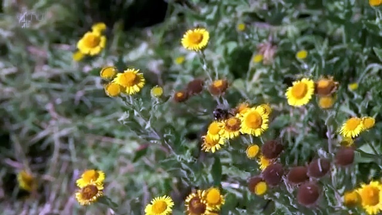 Inside Rolls Royce - Car Industry (Automobile Documentary)