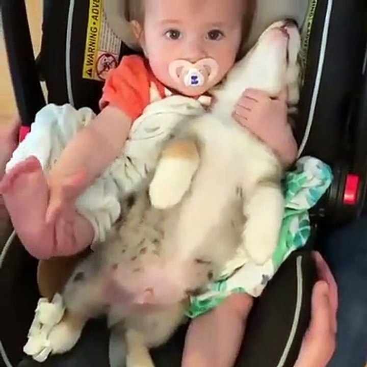 Ce bébé refuse de dormir sans son chiot. Adorable !!