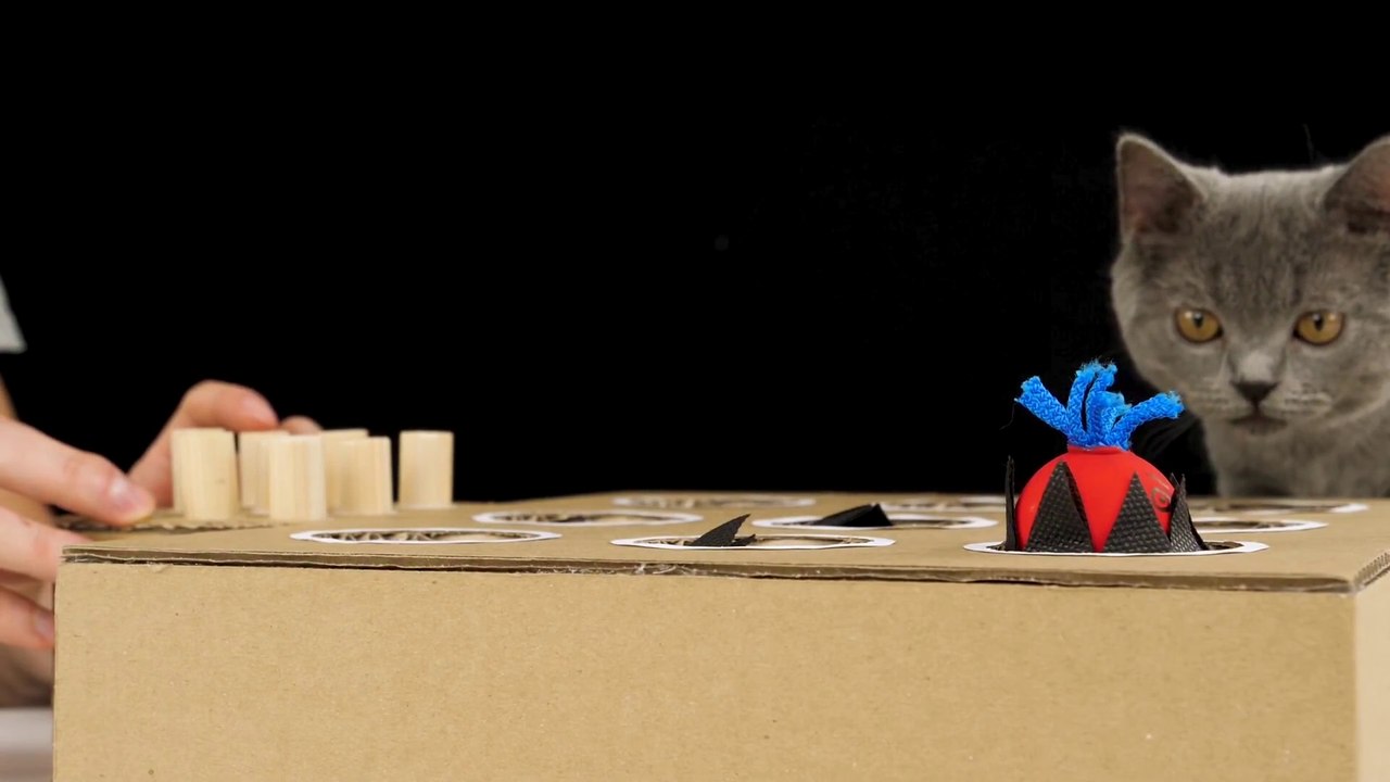 DIY Cat Toy Whack-A-Mole from Cardboard