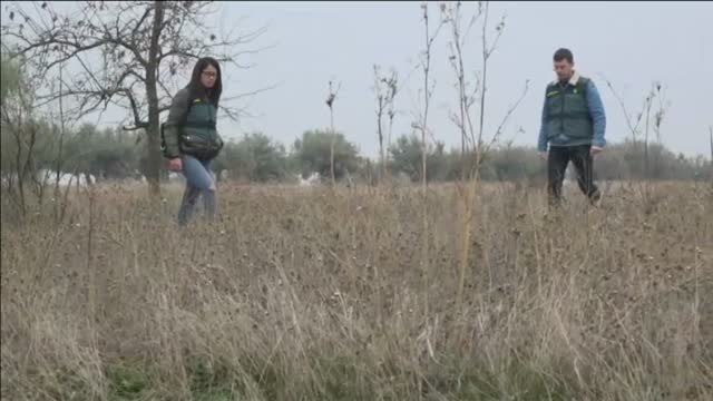 Muere una joven asesinada en la localidad madrileña de Meco