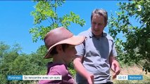 Pyrénées : rencontre entre un petit garçon et un ours sauvage
