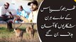 Hungry Deers become easy prey for hunters in Tharparkar