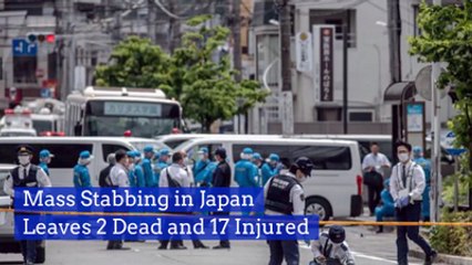 Mass Stabbing Rocks Japan
