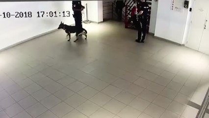 La Policía detiene a un preso que se hallaba prófugo de la Justicia desde el pasado 29 de agosto