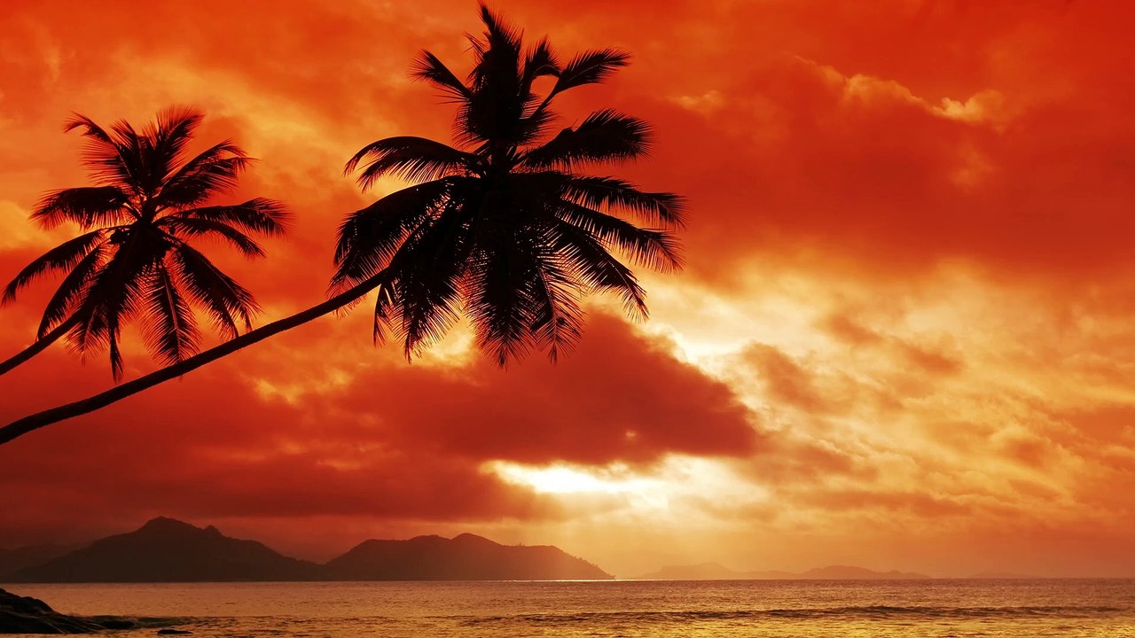 Meditation Music & FLUTE | 9 HOURS, 4K - Sleep Music, Deep Sleep, Relaxing Music, Calming Music, Shamanic Flute