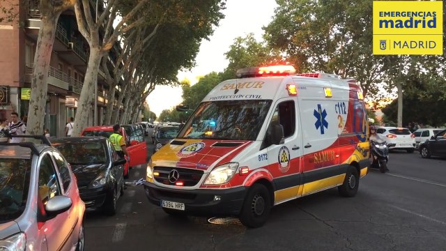 Herido grave tras ser atropellado al intentar recuperar a su perro