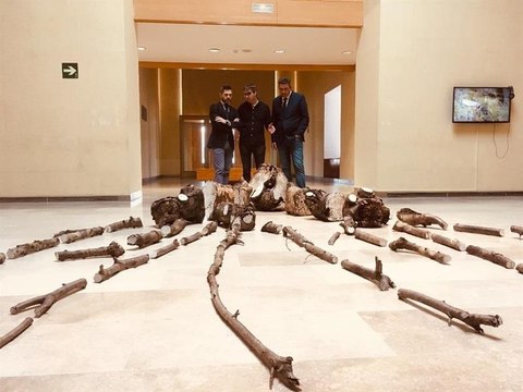 El mundo rural protagoniza una exposición del DA2 de Salamanca