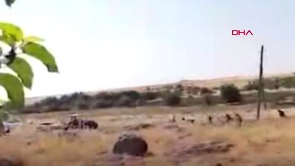 Şanlıurfa Valiliği'nden 6 kişinin öldüğü kavga ile ilgili açıklama