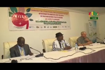 RTB/Conférence à Ouagadougou sur les moyens d’accroitre les investissements pour la récupération des terres