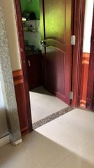 Bunches of Bees Takeover Bedroom