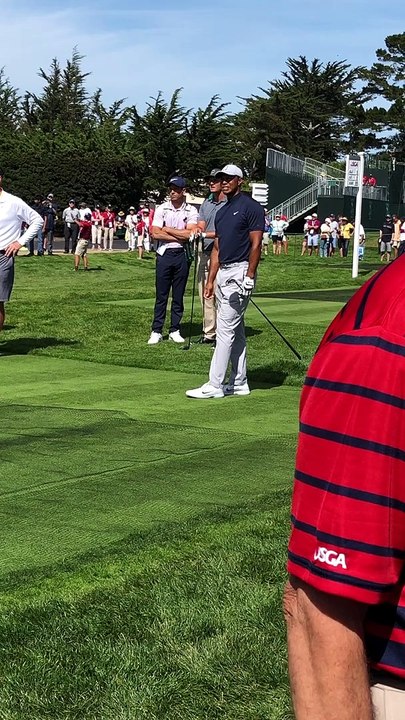 tiger woods