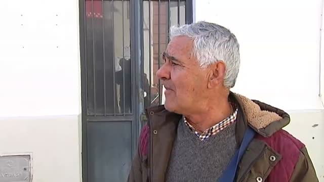 Los cerdos ibéricos Francisco, Rafael y Clemente toman las calles de Trigueros, en Huelva