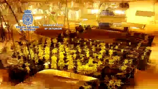 Detenidos siete miembros de un grupo de tráfico de drogas