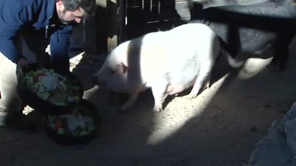 Cambio de dieta en Faunia para combatir el frío