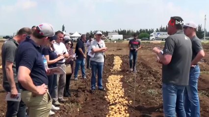 Türkiye’nin Yerli ve Milli Patatesi "Nahita" Dünyaya Açıldı