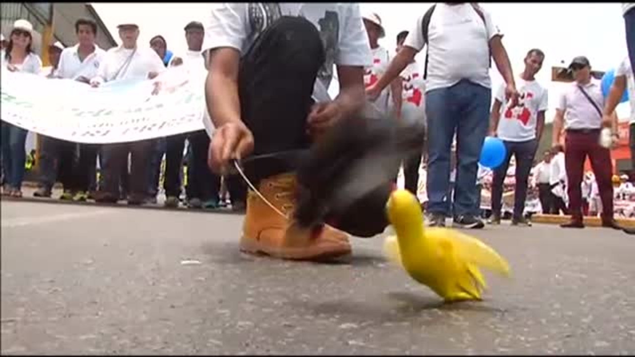 Marcha masiva en Perú a favor de las corridas de toros y las peleas de gallos