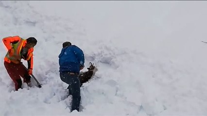 El frio polar colapsa el centro de Europa