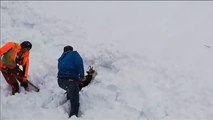 El temporal de nieve en Austria con el rescate de un rebeco sepultado por un alud