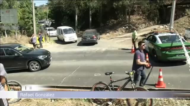 Rescatan a un puma atrapado en un árbol a más de 15 metros de altura en Chile
