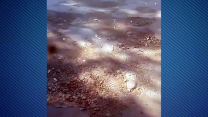 "Ou você cai no abismo ou na valeta" diz moradora indignada com a situação da Rua Eugênio Kluska