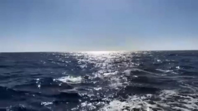 Un anno dopo l'Aquarius: l'UE ancora in alto mare