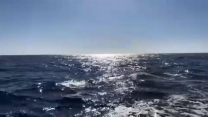 The Aquarius case: one year on the EU migration policy is sinking