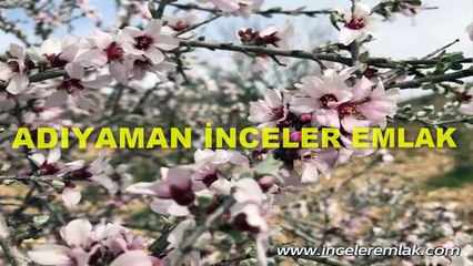 Burasi Adiyaman iste Daireler