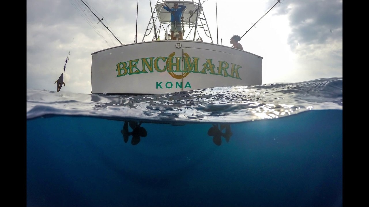 Visions of Granders: Kona Marlin Fishing