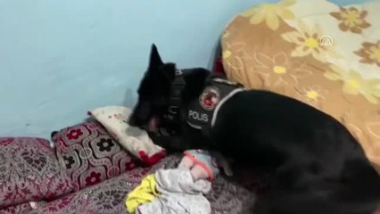 Uyuşturucu satıcısı baba ve oğlu yakalandı