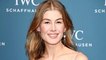 Rosamund Pike Set to Star in 'Wheel of Time' | THR News