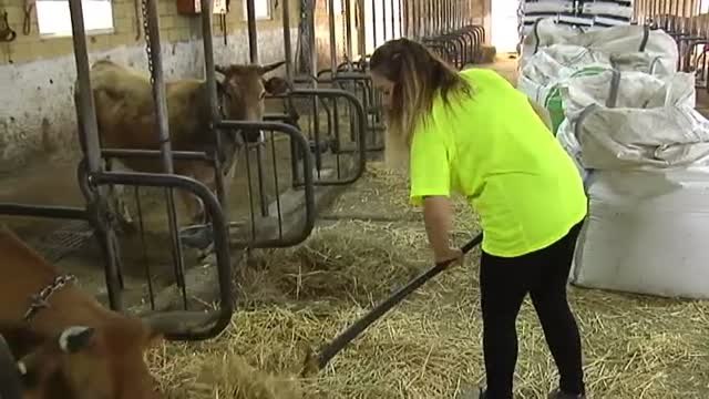 Una mujer en España tiene que trabajar 52 días más que un hombre para cobrar lo mismo, según Intermon Oxfam