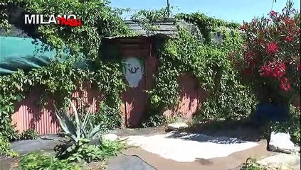 RITORNO IN PESTAGALLI: GLI EROI CHE RESTANO