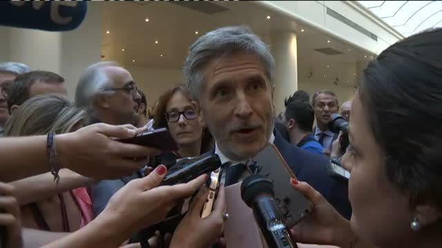 Grande-Marlaska: Todos los ministros vamos a seguir en nuestro puesto de trabajo