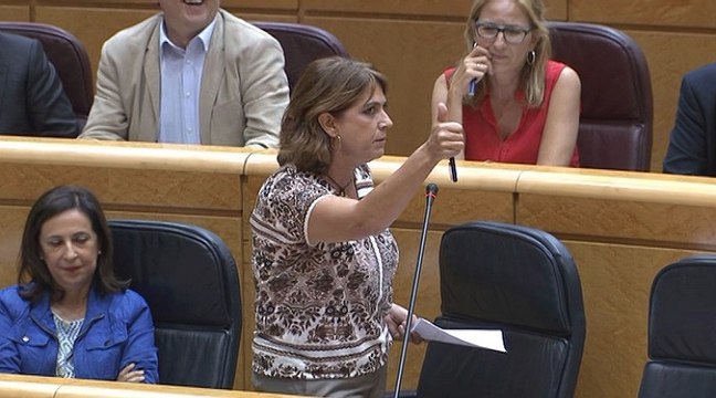 Delgado asegura que el Gobierno ha respetado la independencia judicial