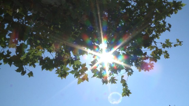 El otoño comienza con temperaturas de 38 y 39 grados