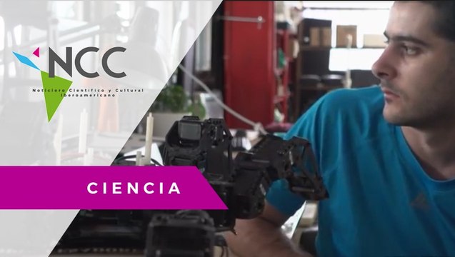 Desarrollan inteligencia artificial para la preservación forestal