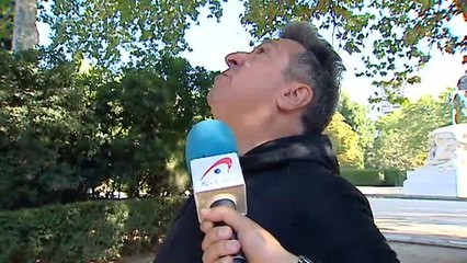 Las cotorras argentinas se convierten en una plaga en Madrid