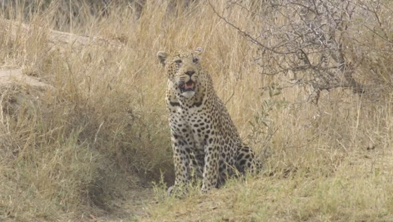 Stalker Gets Stalked