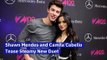 Shawn Mendes and Camila Cabello Tease Steamy New Duet